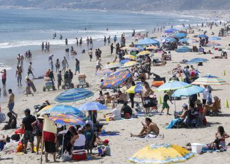 What does the 2020 Census say about the US population?