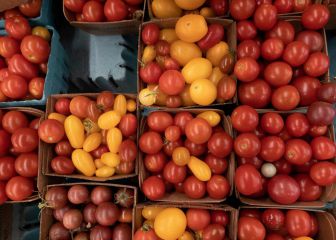 SNAP eligibility -- a guide