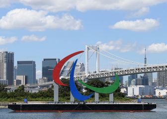 What are the disability categories at the Paralympics?