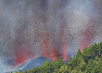 Homes destroyed in Canary Island volcanic eruption