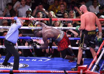 Fury destroys Wilder in round 11 KO