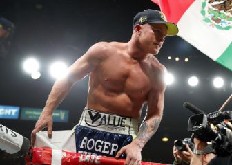 How much money has Canelo Álvarez earned in his career?