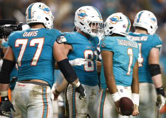 What football teams have gone undefeated in NFL history?