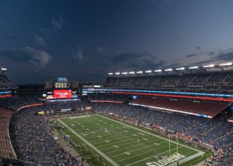 NFL Stadiums featuring real grass vs artificial turf