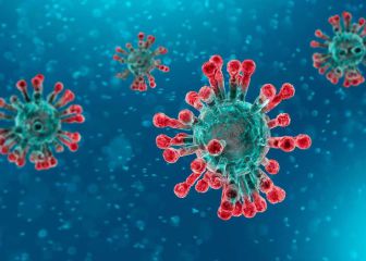 IHU covid-19 variant discovered in France