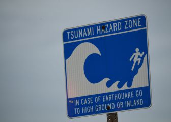 Most tsunamis happen in the Pacific Ocean, here's why...