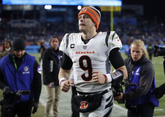 Bengals' shrewd recruitment policy paying off