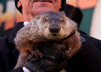 The history and origin of Groundhog Day