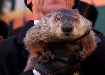 The 'knowing' groundhog Punxsutawney Phil will tell us if spring is here