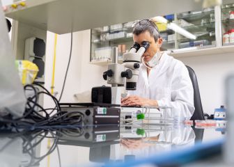 Recently identified HIV variant has been around for decades