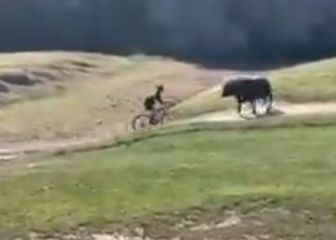 Raging bull sends cyclist flying