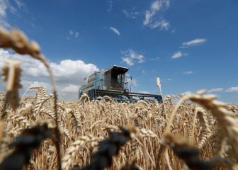 Ukrainian exports threatened by Russian invasion