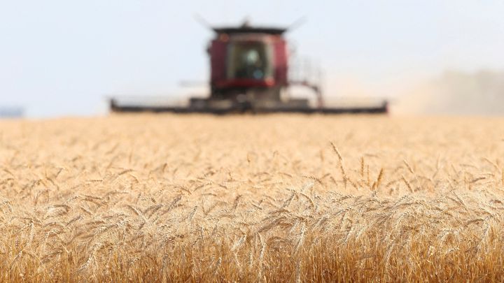 Could the Ukraine-Russia conflict lead to global food shortages?