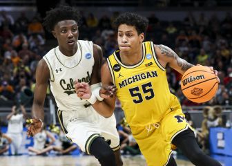 Which Wolverines play in the NBA?