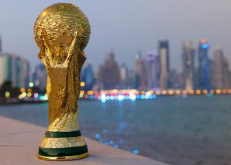 When is the 2022 FIFA World Cup and who has qualified?