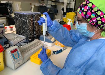 Medicaid income thresholds