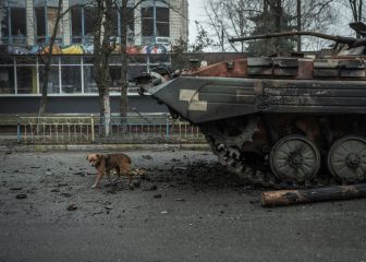 Russia - Ukraine war: summary 2 April 2022