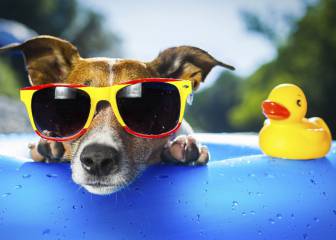 El mega-test más épico del verano