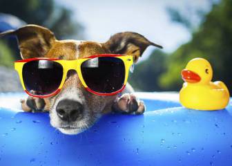 El mega-test más épico del verano