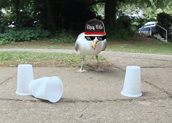 Con las gaviotas no se juega: Adivina el truco de un trilero