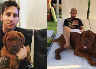 13 veces en las que Messi y su perro creciendo fueron como tú con el tuyo