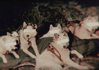 'Barkos', la parodia de Narcos pero con Perro Escobar