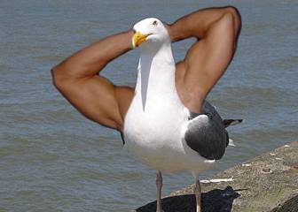 La absurda pero maravillosa moda de poner brazos a los animales