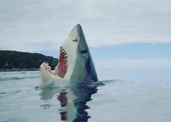 El surfista atacado por tiburones que ha hecho la foto más divertida de un tiburón