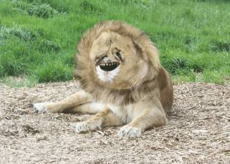 La cuenta de Instagram de un padre que hace realidad los dibujos de su hijo