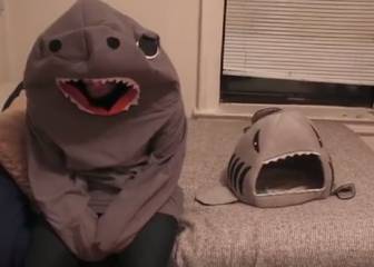 El fracaso del dueño de un gato cuando se disfraza de su juguete favorito
