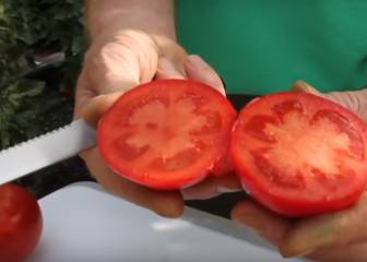 El vídeo que los vegetarianos no quieren que veas