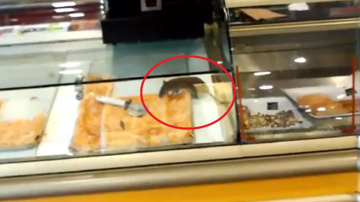Una rata hinca el diente a una empanada del mostrador de un bar en Avilés