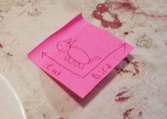 Retos visuales: ¿qué ves un gato o un pájaro?