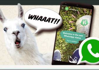 'Prefiero los zumbidos de Messenger': los mejores tuits sobre los estados Whatsapp