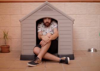 Si los pelirrojos fuesen mascotas