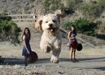 13 imágenes en las que la perspectiva te juega una mala pasada