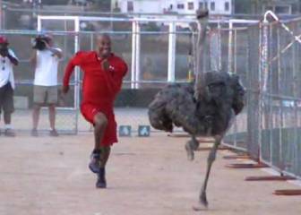 Hombres vs. Animales