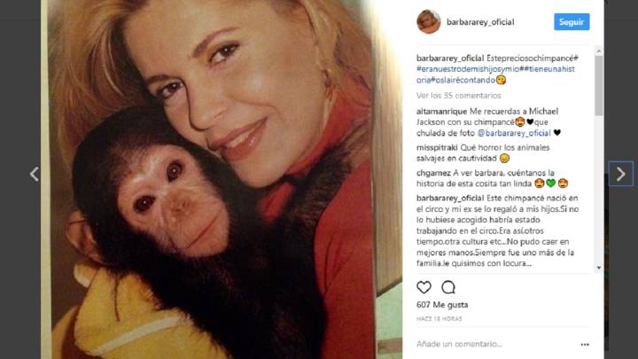 La desconcertante historia de Bárbara Rey con un chimpancé