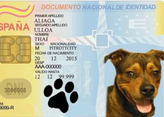 La gente ha empezado a hacer DNI a sus mascotas (y es genial)