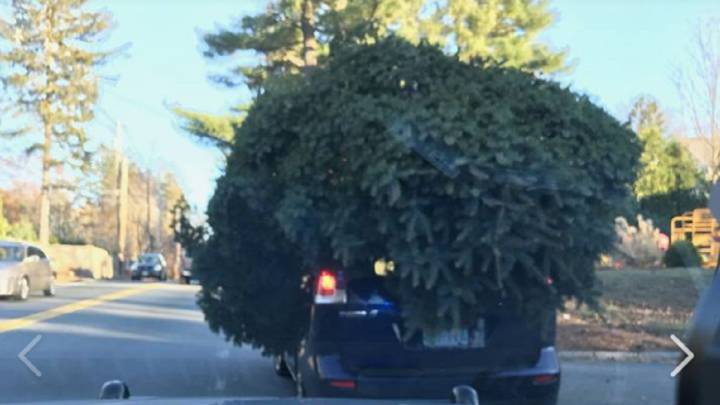 Se le va la olla con el tamaño del árbol de Navidad y la policía lo publica en Facebook
