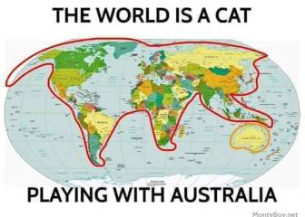 Los gatos dominan el mundo, y esta imagen es la prueba