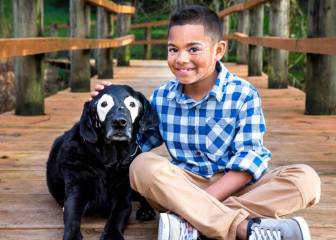 5 mascotas heroínas que alegrarán tu Día de San Antón