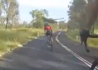 El primer vídeo viral de Australia de 2018 ya está aquí: un canguro choca con una ciclista