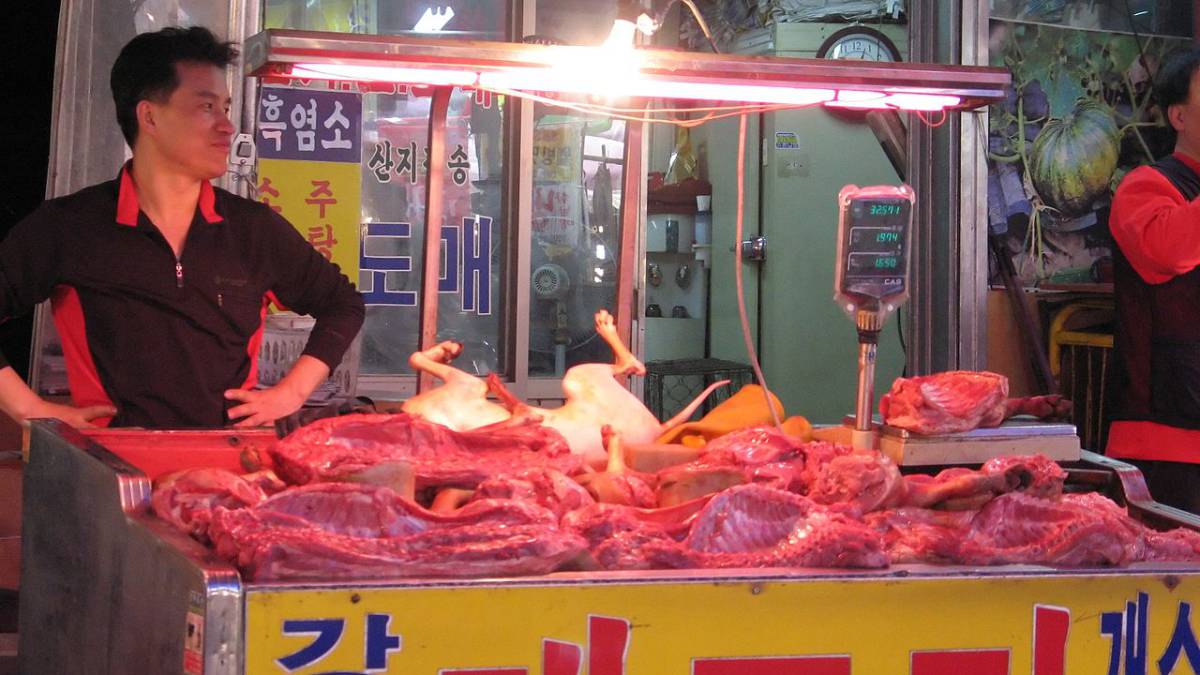Corea intenta frenar las comidas con carne de perro en los JJ.OO. (pero  fracasa) - AS.com