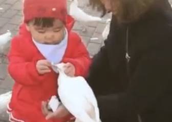 Una niña (con mala leche) y una paloma: el GIF que han retuiteado 300.000 personas