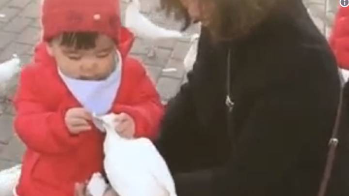 Una niña (con mala leche) y una paloma: el GIF que han retuiteado 300.000 personas
