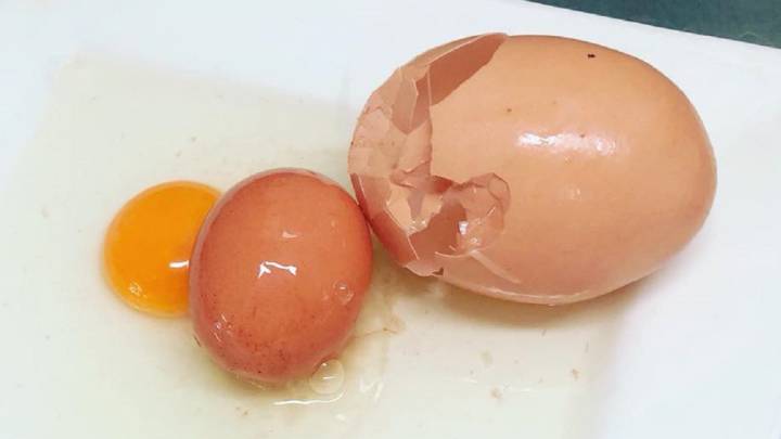 Un agricultor australiano se encuentra un huevo de gallina dentro de otro huevo