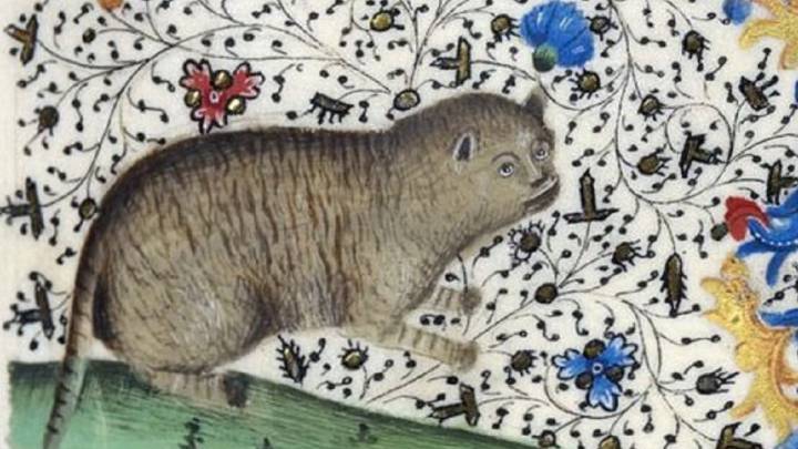 Estas obras medievales demuestran que los gatos no siempre fueron adorables
