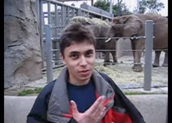 Hablando de unos elefantes en el zoo: se cumplen 13 años del primer vídeo de Youtube