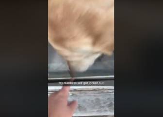 Se quedó encerrada fuera de casa y su perro fue capaz de abrirle la puerta